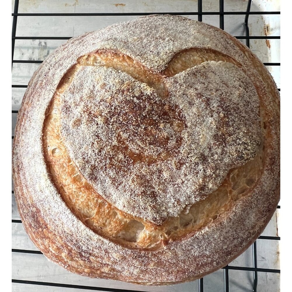 Dehydrated Sourdough Starter Genesis Long Island NY Active Dry Culture w/ Guide